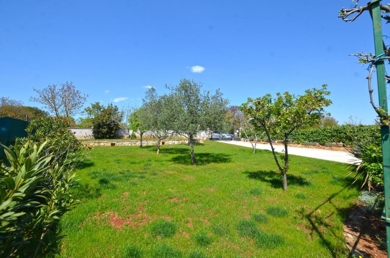 Bavica Apartments Rovigno Esterno foto